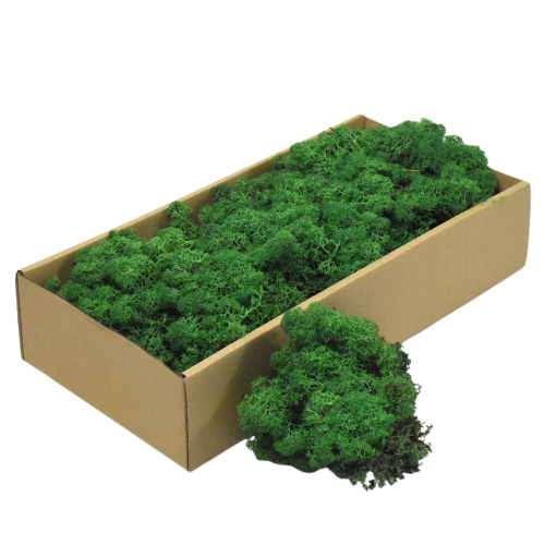 Muschi stabilizati grass green 500 grame