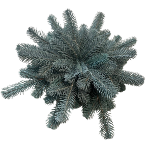Decor arici Smarald, Ø 46 cm